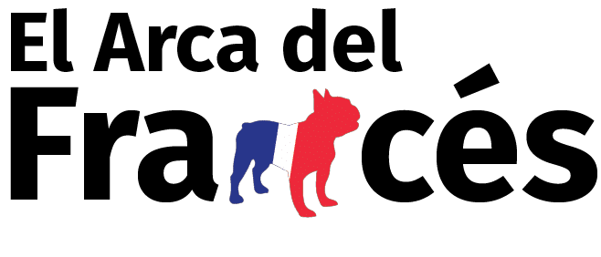Bulldog Francés Exótico - Criadero El arca del Frances